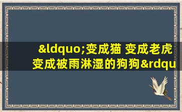 “变成猫 变成老虎 变成被雨淋湿的狗狗”